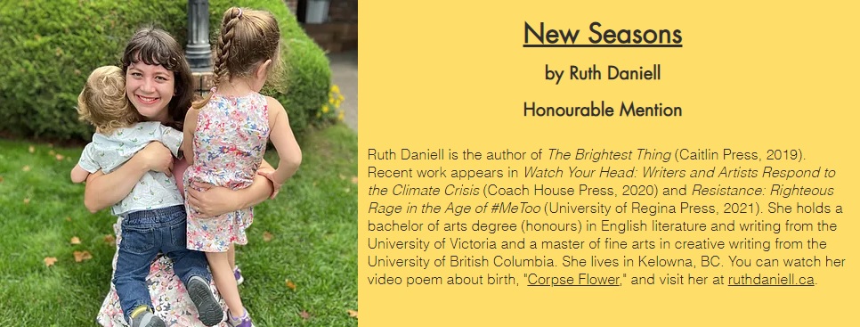 Image from the Doula Support Foundation website